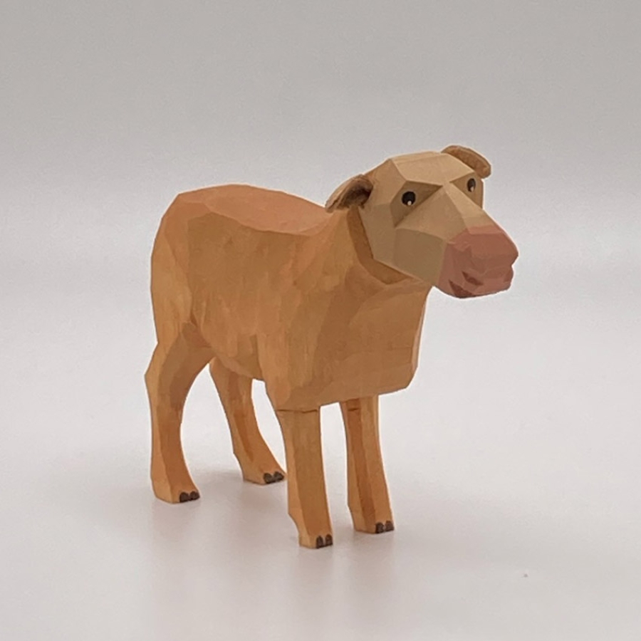 Sheep, White Face, Standing 