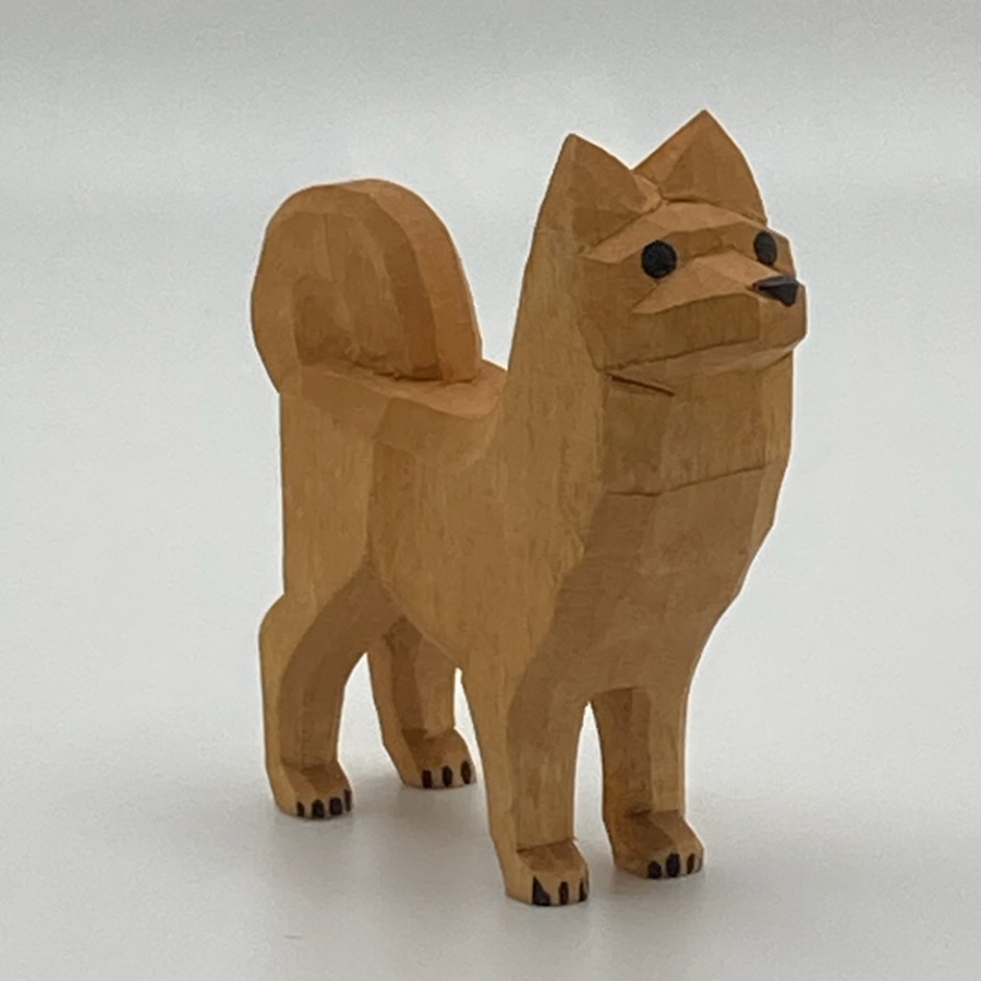 Dog, Spitz, Standing 