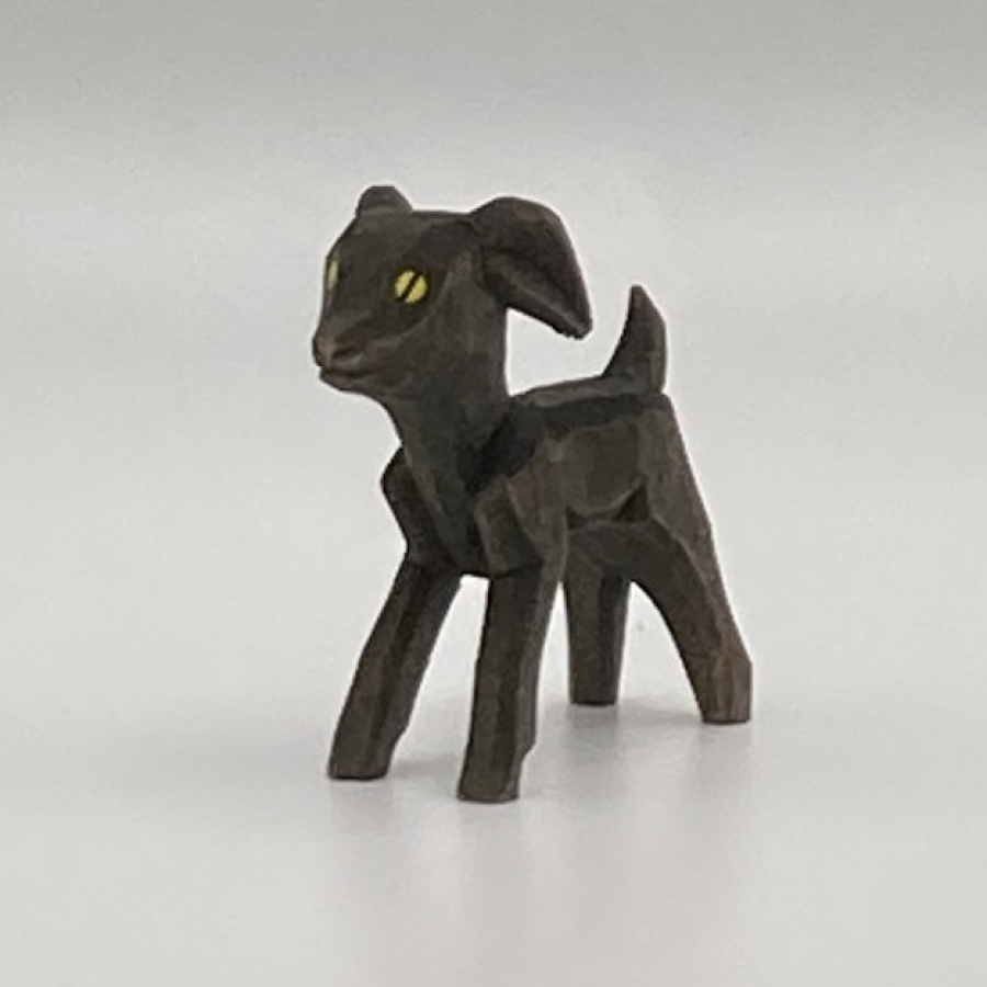 Goat, Kid, Dark, Standing 