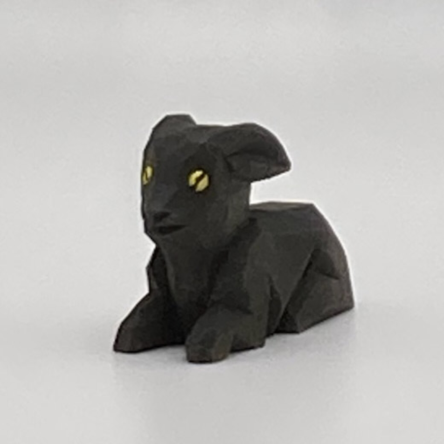 Goat, Kid, Dark, Lying 