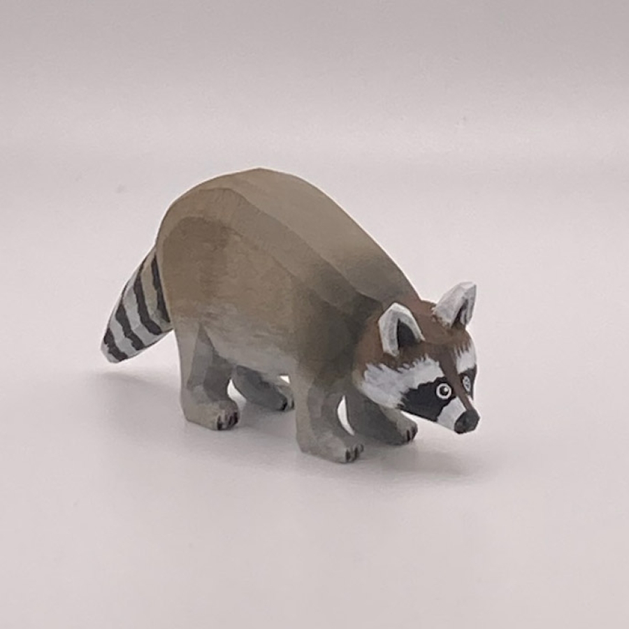 Raccoon 