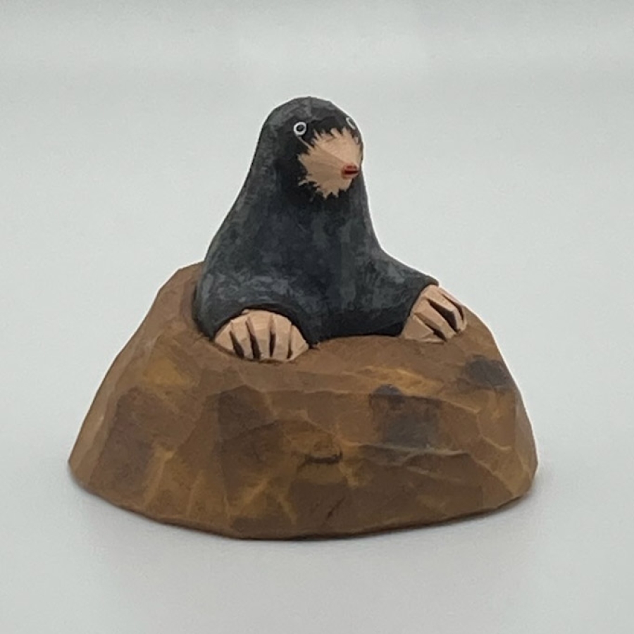 Mole, on Hill 